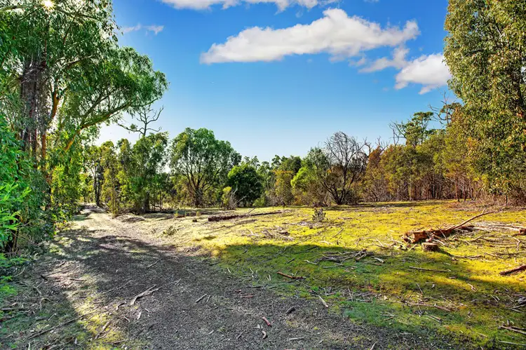Fifth view of Homely land listing, 105 DOCTORS CREEK ROAD, Clonbinane VIC 3658