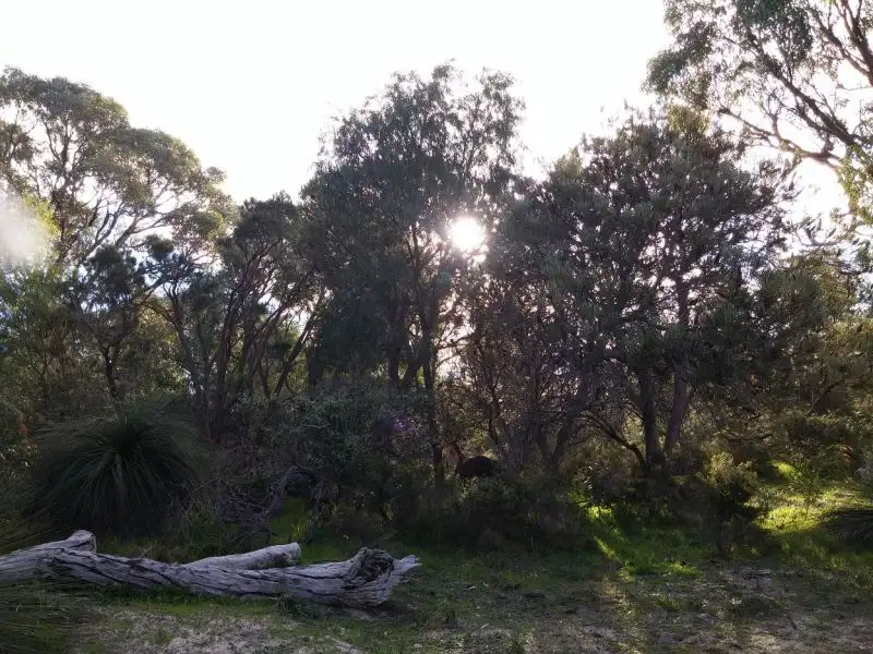 Main view of Homely land listing, 3 Taurus Close, Dawesville WA 6211