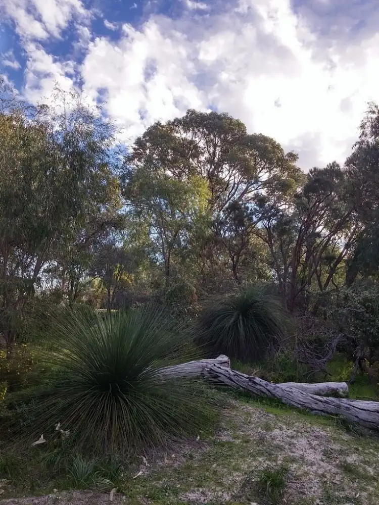 Fifth view of Homely land listing, 3 Taurus Close, Dawesville WA 6211