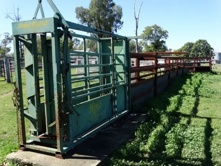 Sixth view of Homely rural property listing, 333 ACRES Canaga Park, Chinchilla QLD 4413