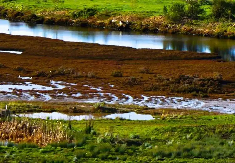 Fifth view of Homely land listing, Lot 88, LOT Lot 88, 50 Enchantress St, Rokeby TAS 7019