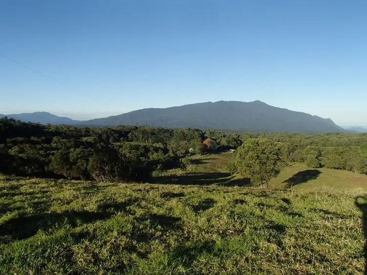 Second view of Homely rural property listing, 46 Old Cairns Track, Topaz QLD 4885
