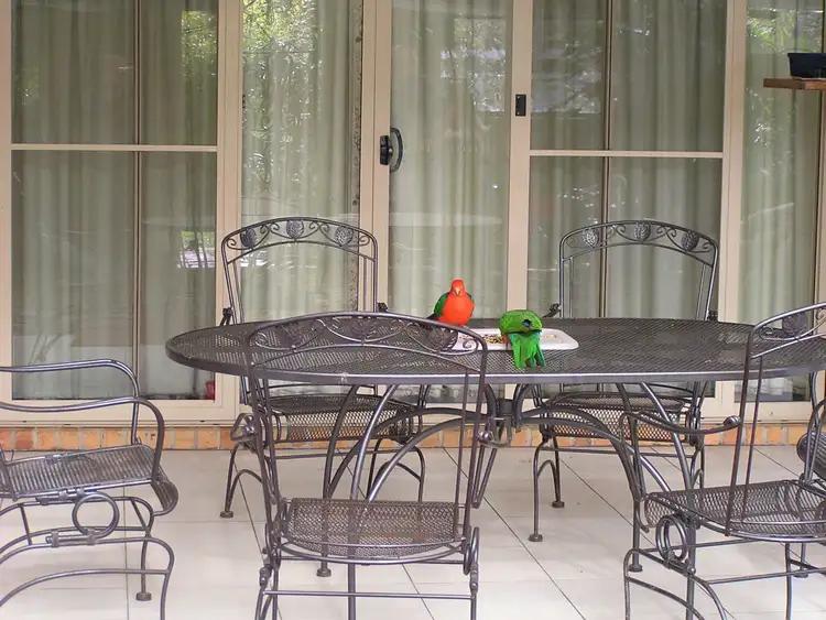 Fourth view of Homely rural property listing, 245 Edenvale Crescent, Kinglake West VIC 3757