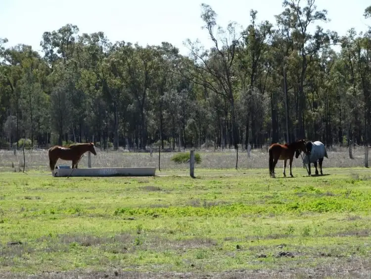 Sixth view of Homely rural property listing, 1257 Acres - Lot 4 Ryalls Road, Miles QLD 4415