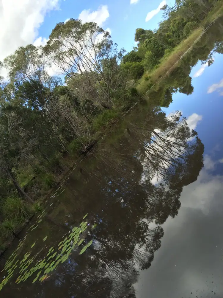 Third view of Homely rural property listing, 76 Lemon Tree Trail, Brimbin NSW 2430