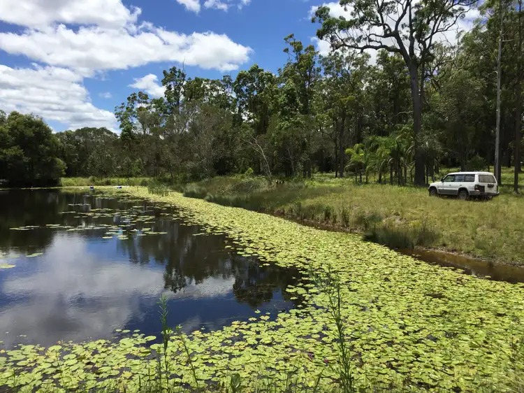 Fourth view of Homely rural property listing, 76 Lemon Tree Trail, Brimbin NSW 2430