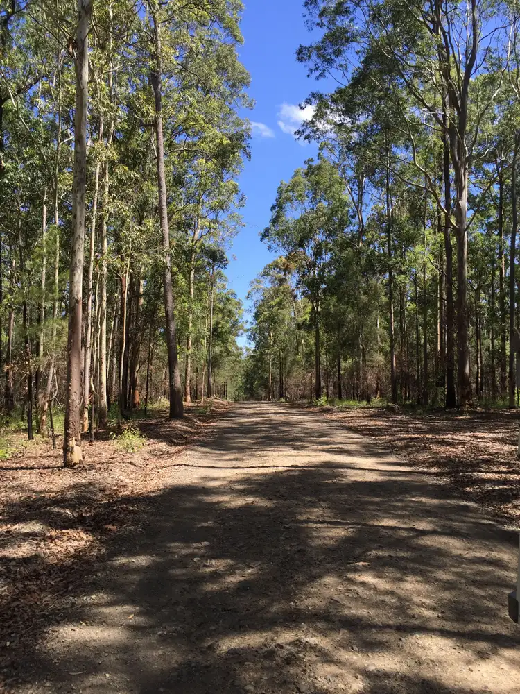 Fifth view of Homely rural property listing, 76 Lemon Tree Trail, Brimbin NSW 2430