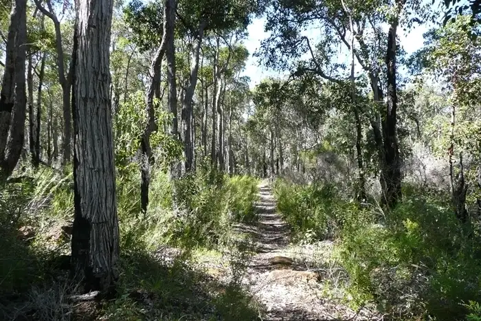 Fourth view of Homely land listing, 50 Anning Road, Denmark WA 6333