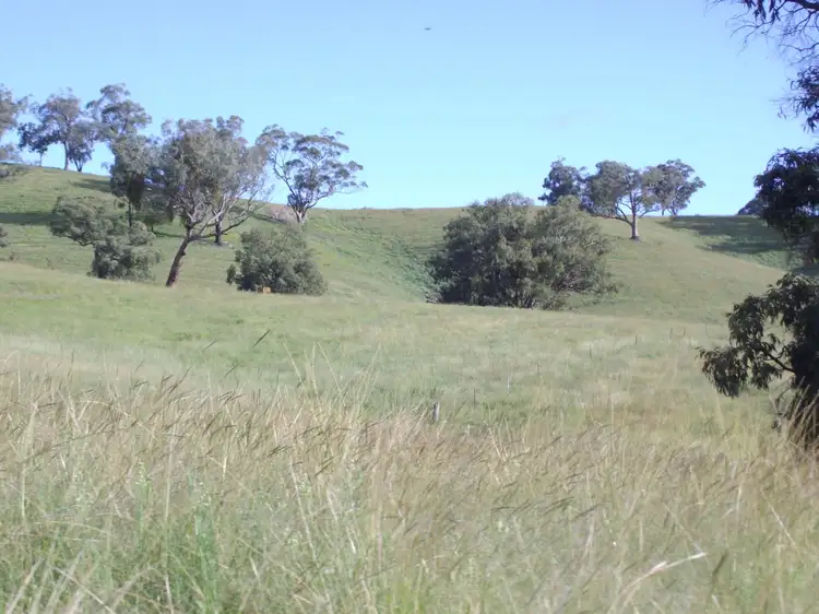 Second view of Homely rural property listing, "Coglan"/3108 Limbri road, Weabonga NSW 2340
