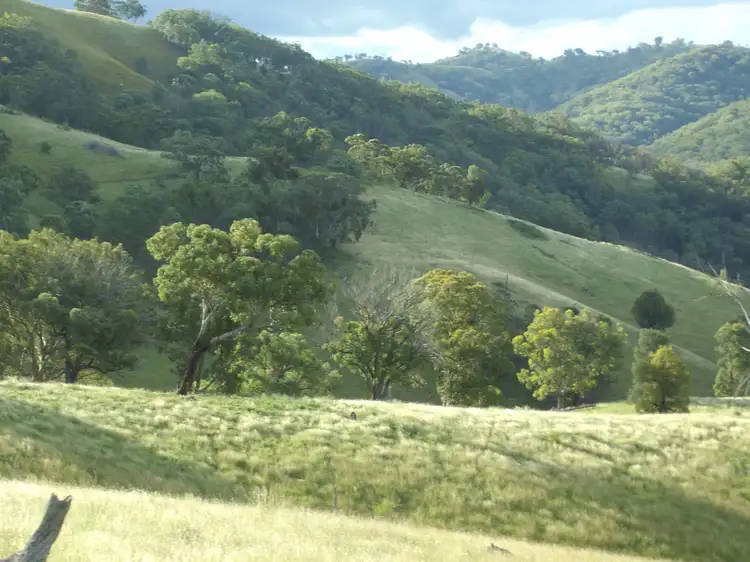 Third view of Homely rural property listing, "Coglan"/3108 Limbri road, Weabonga NSW 2340