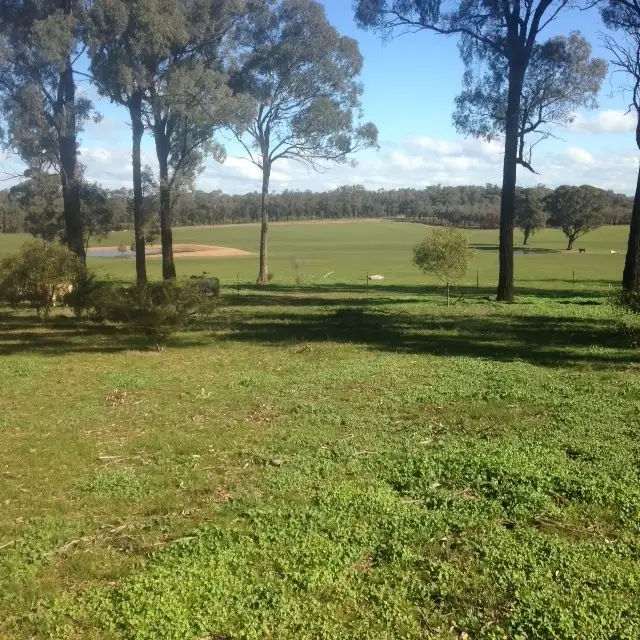 Main view of Homely rural property listing, 80 FOREST ROAD, Killawarra VIC 3678