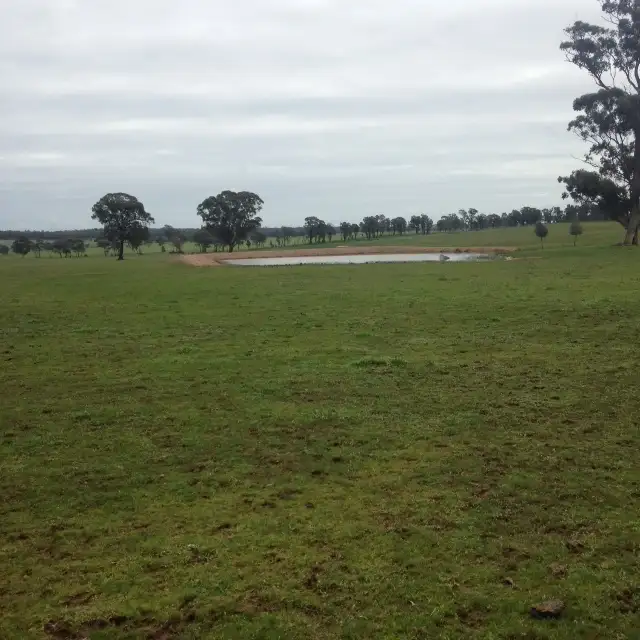 Second view of Homely rural property listing, 80 FOREST ROAD, Killawarra VIC 3678