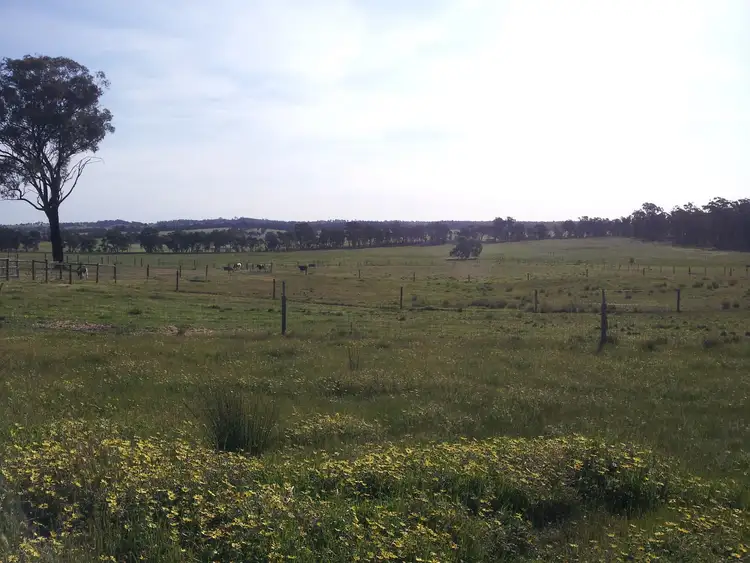 Third view of Homely rural property listing, 80 FOREST ROAD, Killawarra VIC 3678