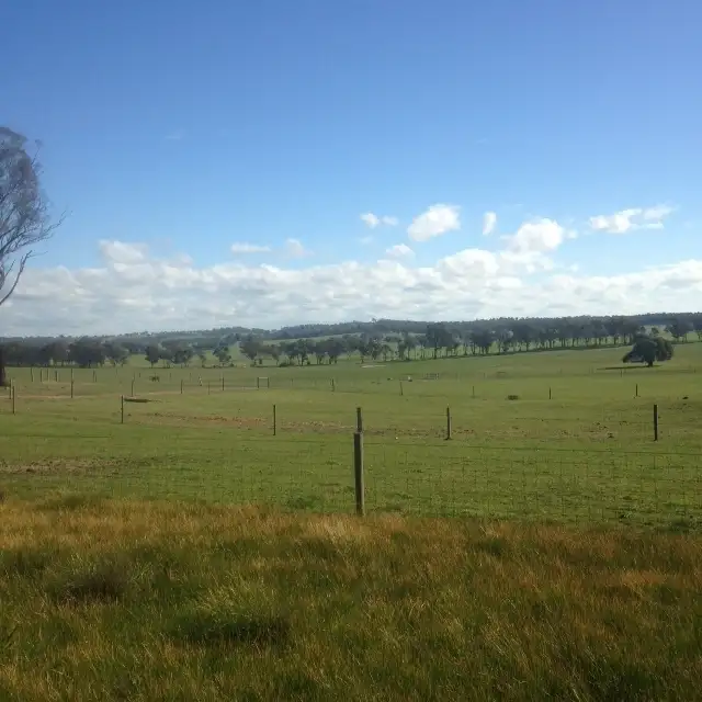 Fourth view of Homely rural property listing, 80 FOREST ROAD, Killawarra VIC 3678