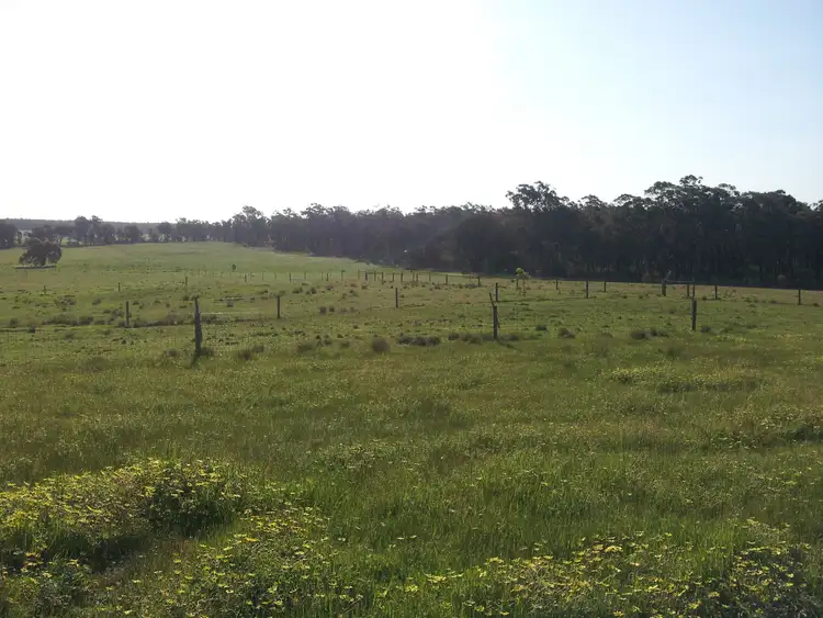 Fifth view of Homely rural property listing, 80 FOREST ROAD, Killawarra VIC 3678
