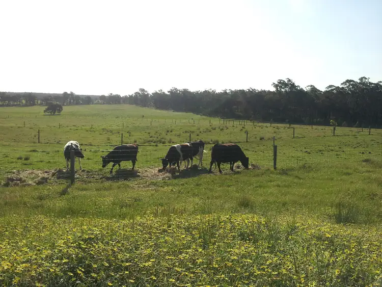 Sixth view of Homely rural property listing, 80 FOREST ROAD, Killawarra VIC 3678