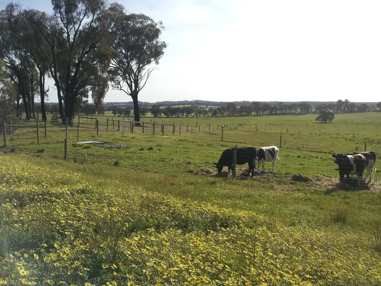 Seventh view of Homely rural property listing, 80 FOREST ROAD, Killawarra VIC 3678