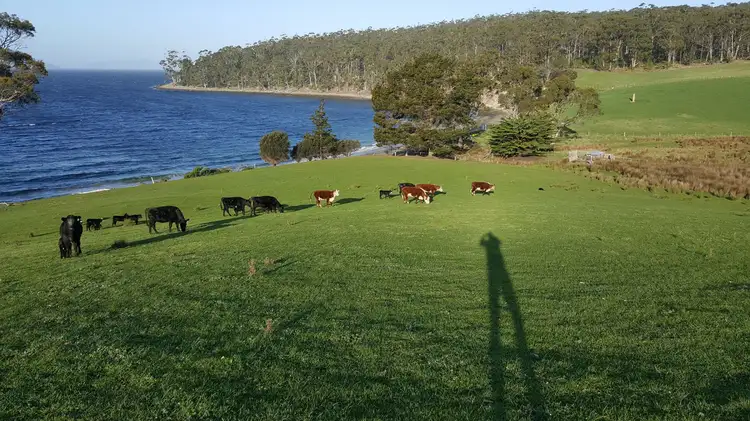 Sixth view of Homely rural property listing, 321 Bruny Island Main Road, Dennes Point TAS 7150