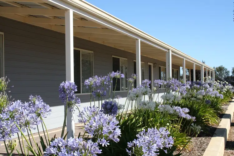 Main view of Homely rural property listing, Lot 433 Ware Street, Wagin WA 6315