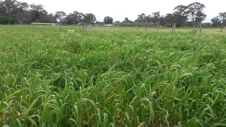 Fifth view of Homely land listing, 126 Rohs Road, East Bendigo VIC 3550