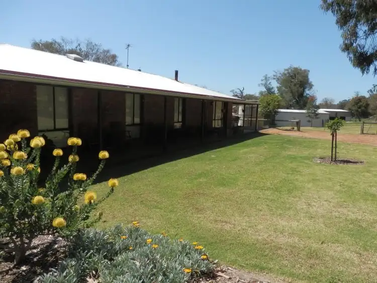 Main view of Homely rural property listing, 45 Douglas Rd, Carbunup River WA 6280