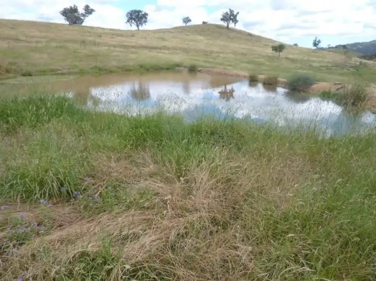 Second view of Homely rural property listing, 201/2122 Long Point Rd, Mullion Creek NSW 2800