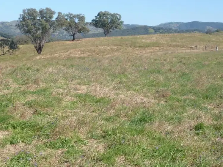Fourth view of Homely rural property listing, 201/2122 Long Point Rd, Mullion Creek NSW 2800