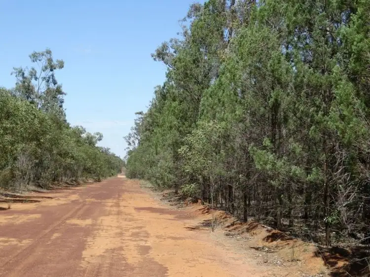 Second view of Homely rural property listing, 621 Acres - Lot 6 Aytons Road, Miles QLD 4415