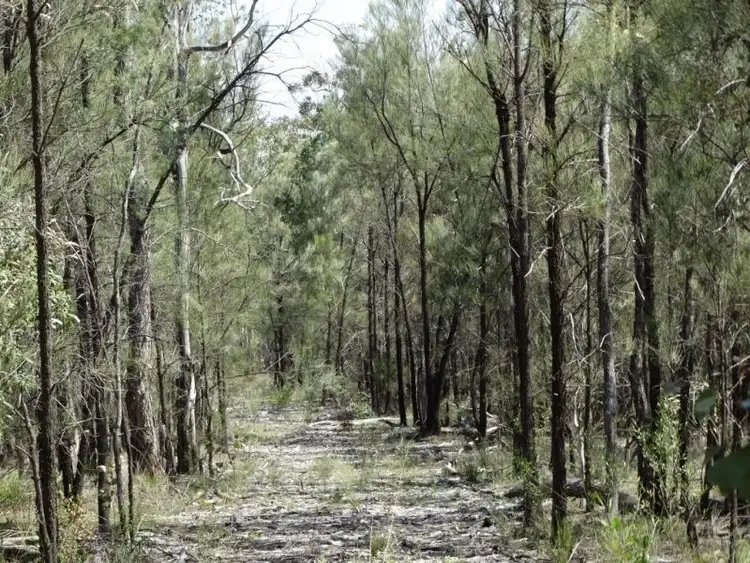 Fourth view of Homely rural property listing, 621 Acres - Lot 6 Aytons Road, Miles QLD 4415