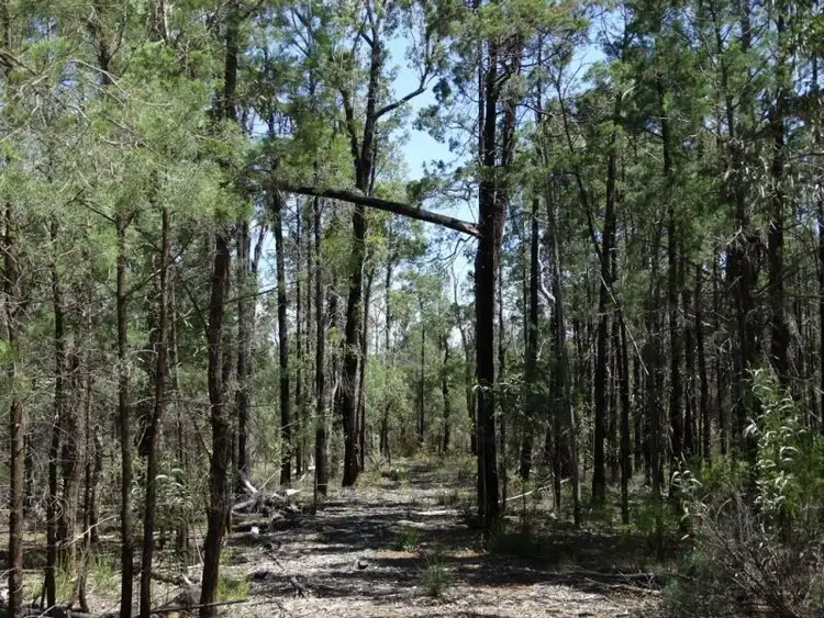 Seventh view of Homely rural property listing, 621 Acres - Lot 6 Aytons Road, Miles QLD 4415