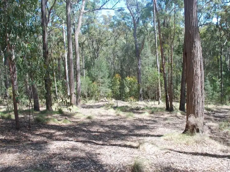 Lot 415 Millingandi Ridge Road, Millingandi NSW 2549