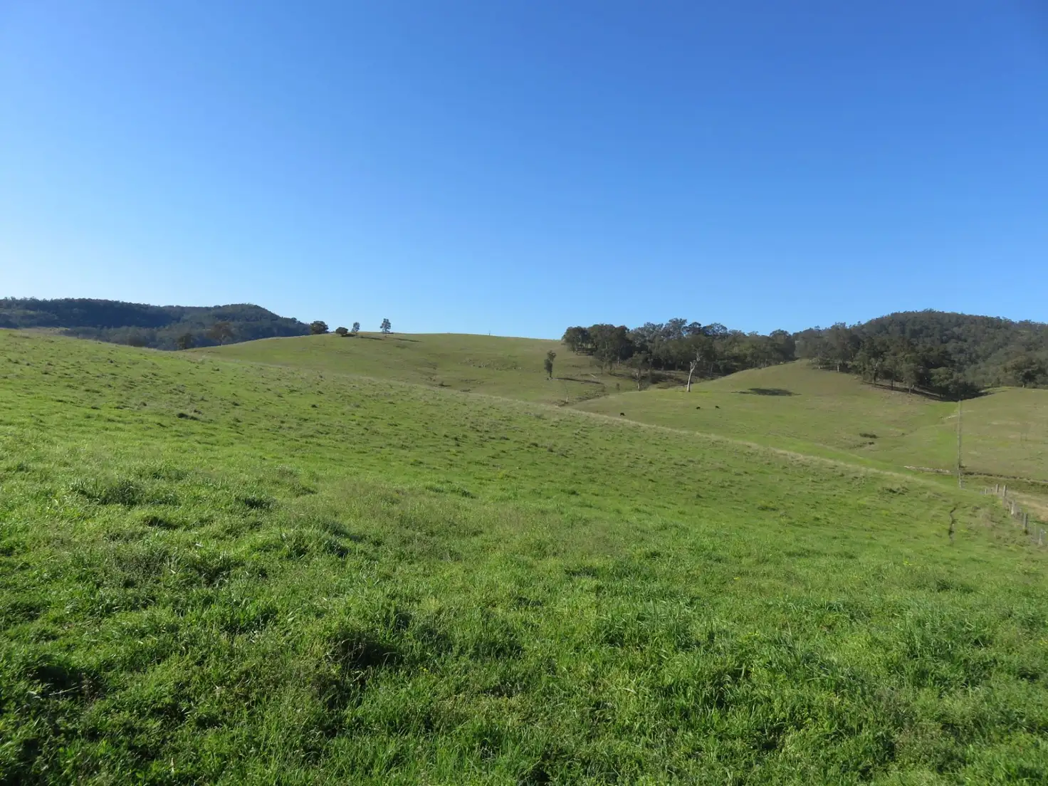 Main view of Homely land listing, 118 (Lot 901) Cranky Corner Rd, Glendon Brook NSW 2330