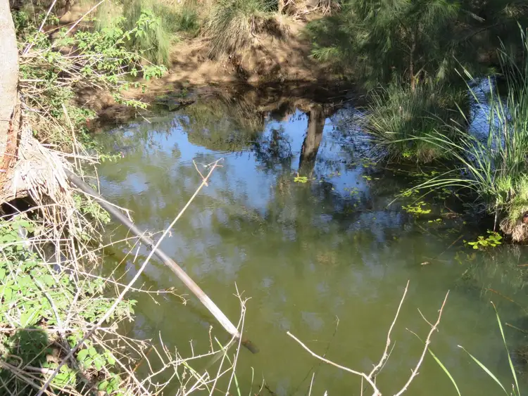 Fourth view of Homely land listing, 118 (Lot 901) Cranky Corner Rd, Glendon Brook NSW 2330