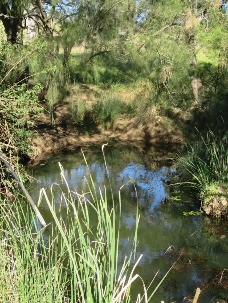 Seventh view of Homely land listing, 118 (Lot 901) Cranky Corner Rd, Glendon Brook NSW 2330
