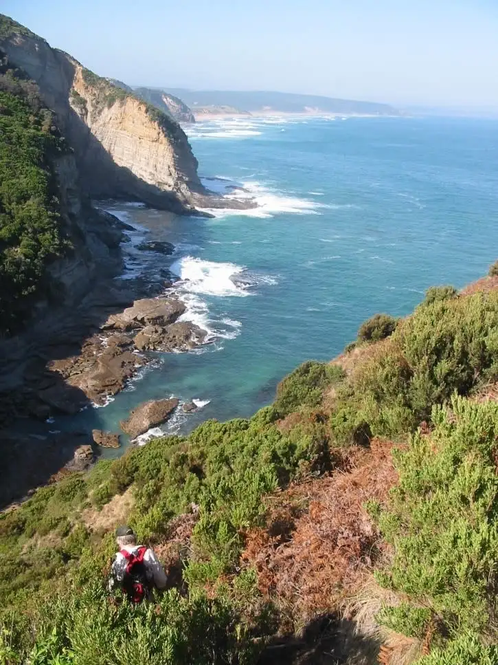 Fifth view of Homely house listing, 115 Knowledge Track, Yuulong VIC 3237