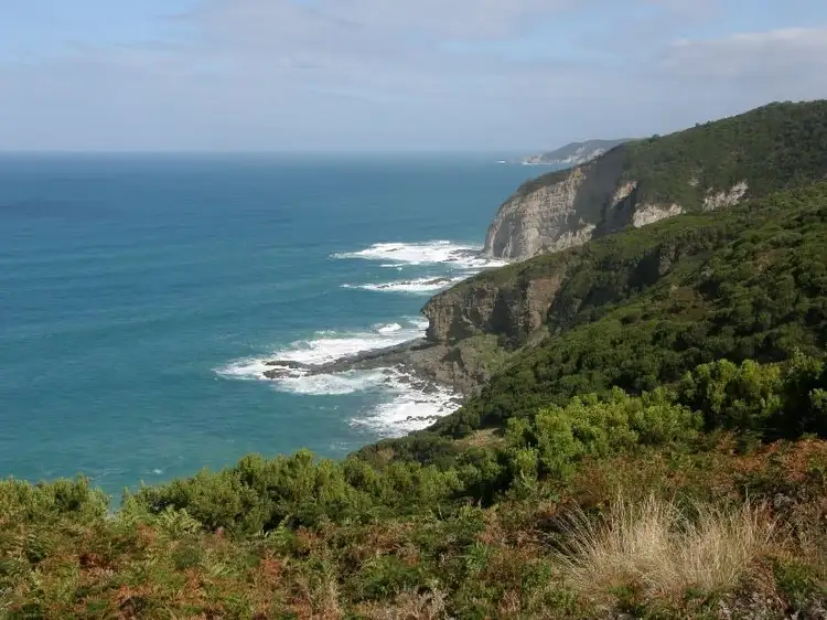 Seventh view of Homely house listing, 115 Knowledge Track, Yuulong VIC 3237