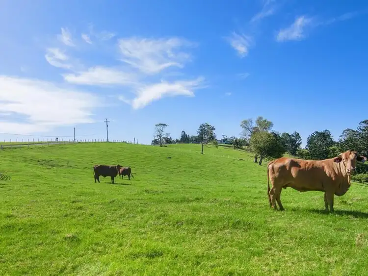 Lot 2/72 Freemans Rd, Lower Beechmont QLD 4211