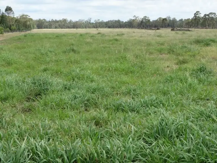 Sixth view of Homely rural property listing, 290 ACRES - Crystal Creek Road, Kogan QLD 4406
