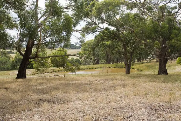 Main view of Homely land listing, 350 Bambra Cemetery Road, Bambra VIC 3241