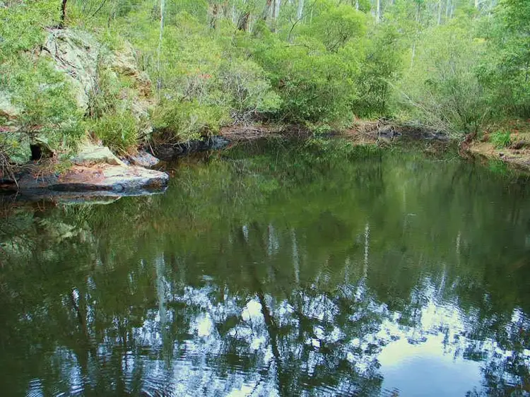 Second view of Homely rural property listing, 369 Devils Hole Road, Wyndham NSW 2550