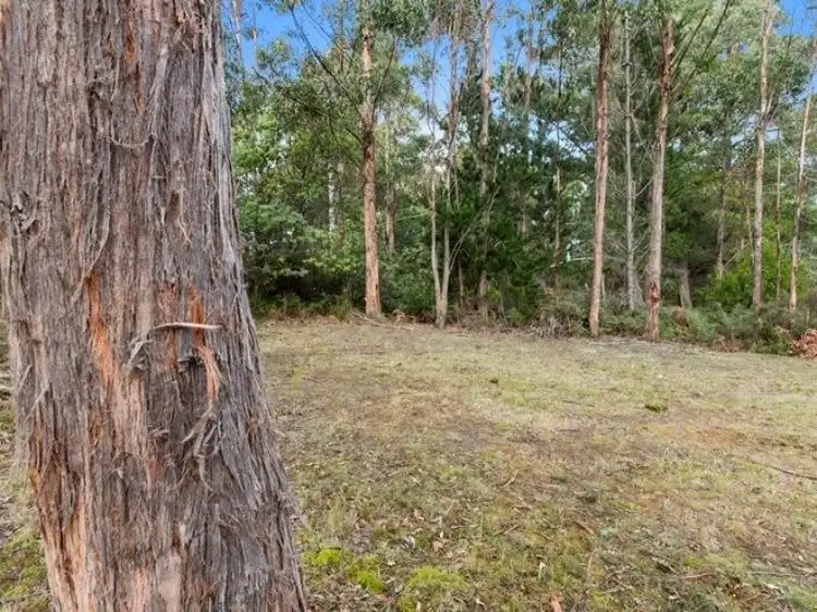 Sixth view of Homely land listing, 7493 Huon Highway, Strathblane TAS 7109