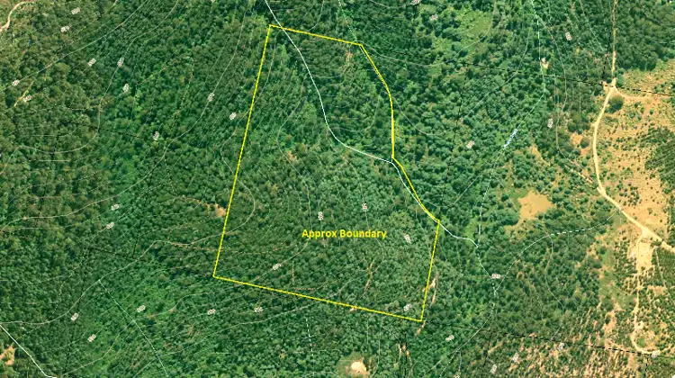 Seventh view of Homely land listing, Lot 1 Waggs Gully Road, Ranelagh TAS 7109