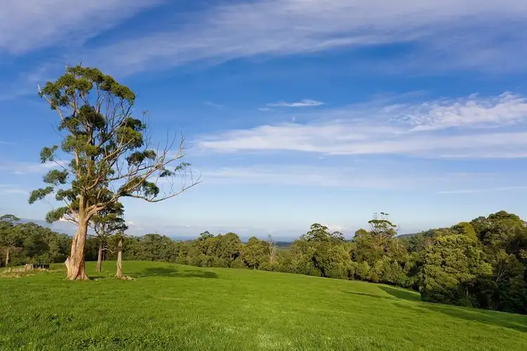 4555 Great Ocean Road, Lavers Hill VIC 3238