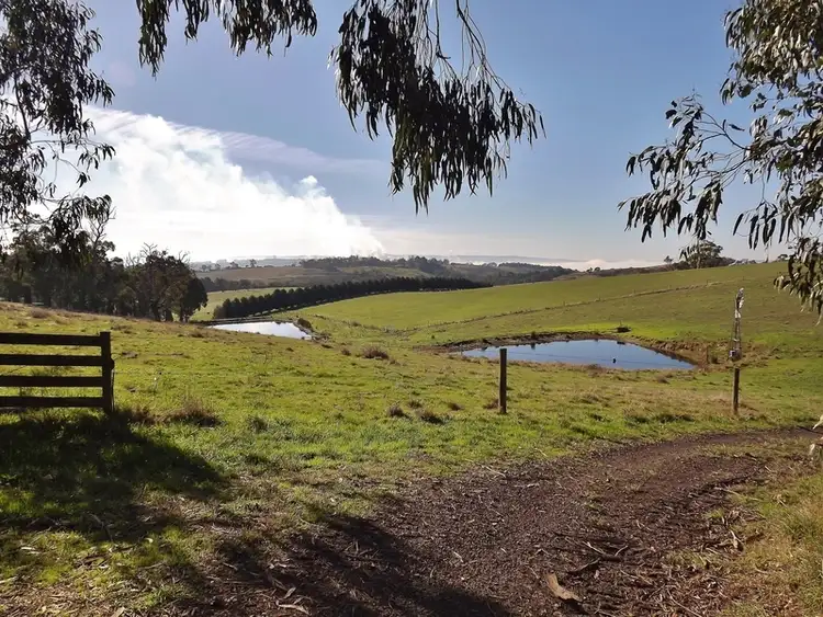 Second view of Homely rural property listing, 90 McGraths Track, Hernes Oak VIC 3825