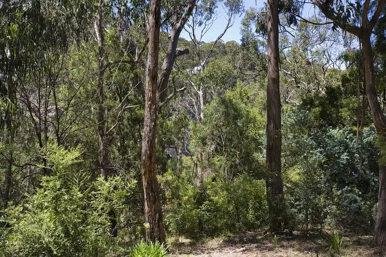 Third view of Homely land listing, 26A Richardson Boulevard, Lorne VIC 3232