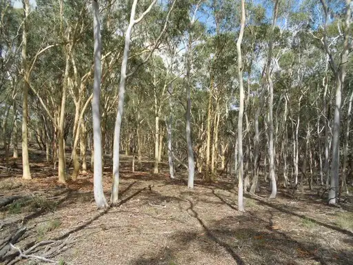 Fifth view of Homely land listing, Lot 245 Lade Vale Road, Gunning NSW 2581