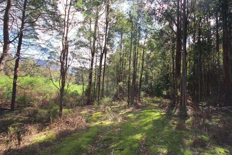 Fourth view of Homely land listing, Lot 1 Middle Road, Pelverata TAS 7150