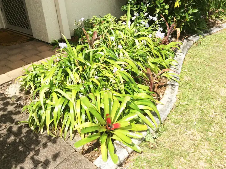 Sixth view of Homely retirement listing, 15 Jacaranda Ave, Murwillumbah NSW 2484