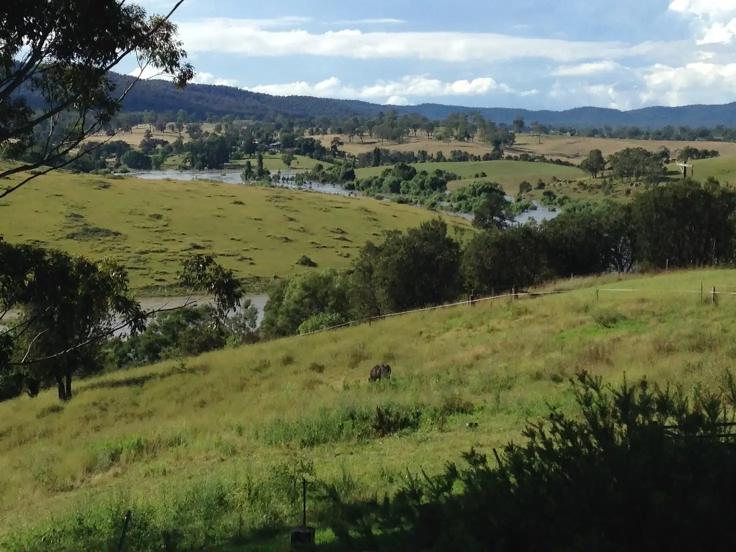 Main view of Homely rural property listing, 89 Brianderry, Bega NSW 2550