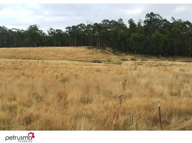 Second view of Homely land listing, 1198 Sandmarsh Road, Woodsdale TAS 7120